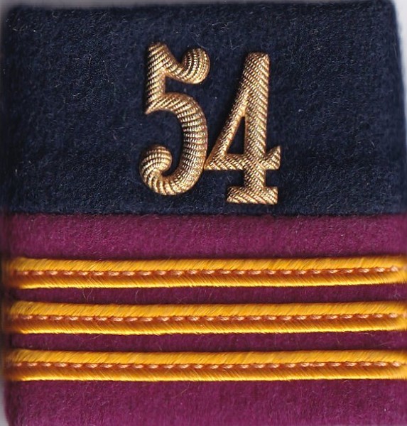 Bild von Hauptmann Rangabzeichen Schulterpatte  Logistik Einteilung Luftwaffe 54. Preis gilt für 1 Stück 